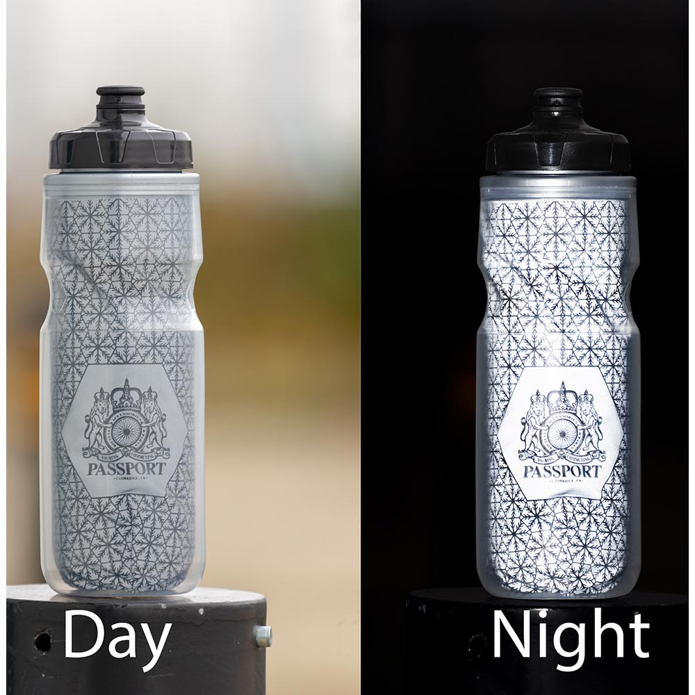 Passport Frostbright Isolierte Reflektierende Wasserflasche 550ml