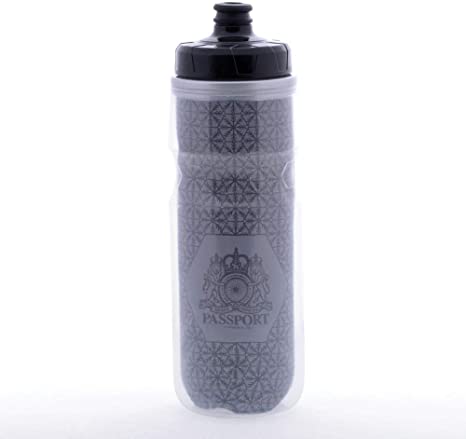 Passport Frostbright Isolierte Reflektierende Wasserflasche 550ml