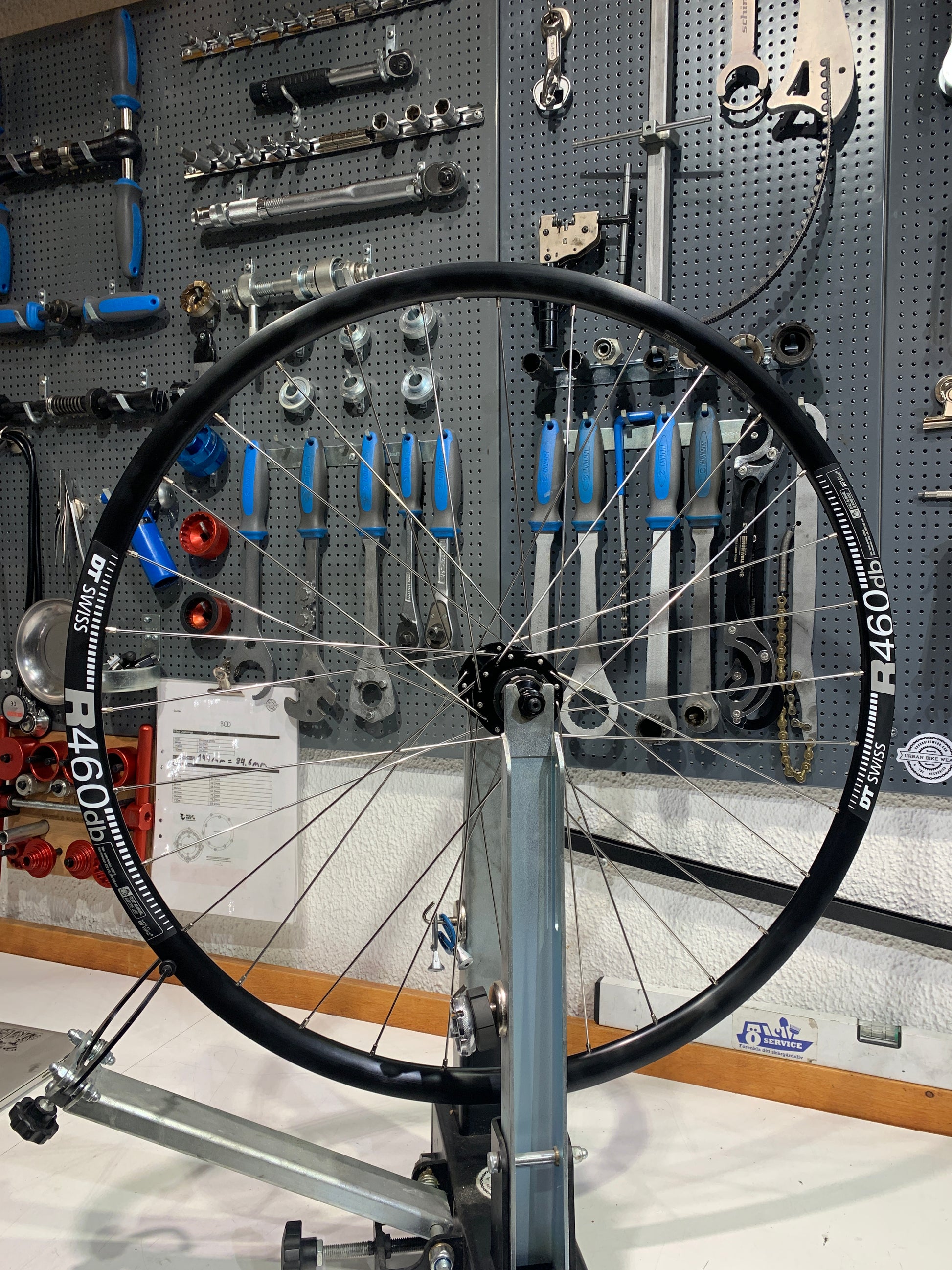 Roue arrière Singlespeed (roue personnalisée UBW) Halo Ridgeline / DT Swiss R 460 DB 135 OLD