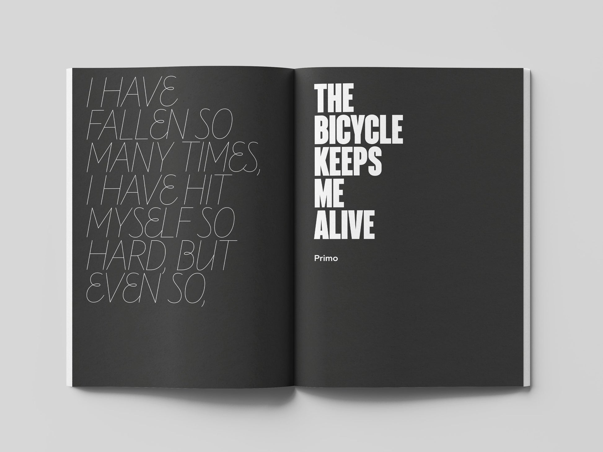 Shoot the Messenger, The Book by Anthony Hill