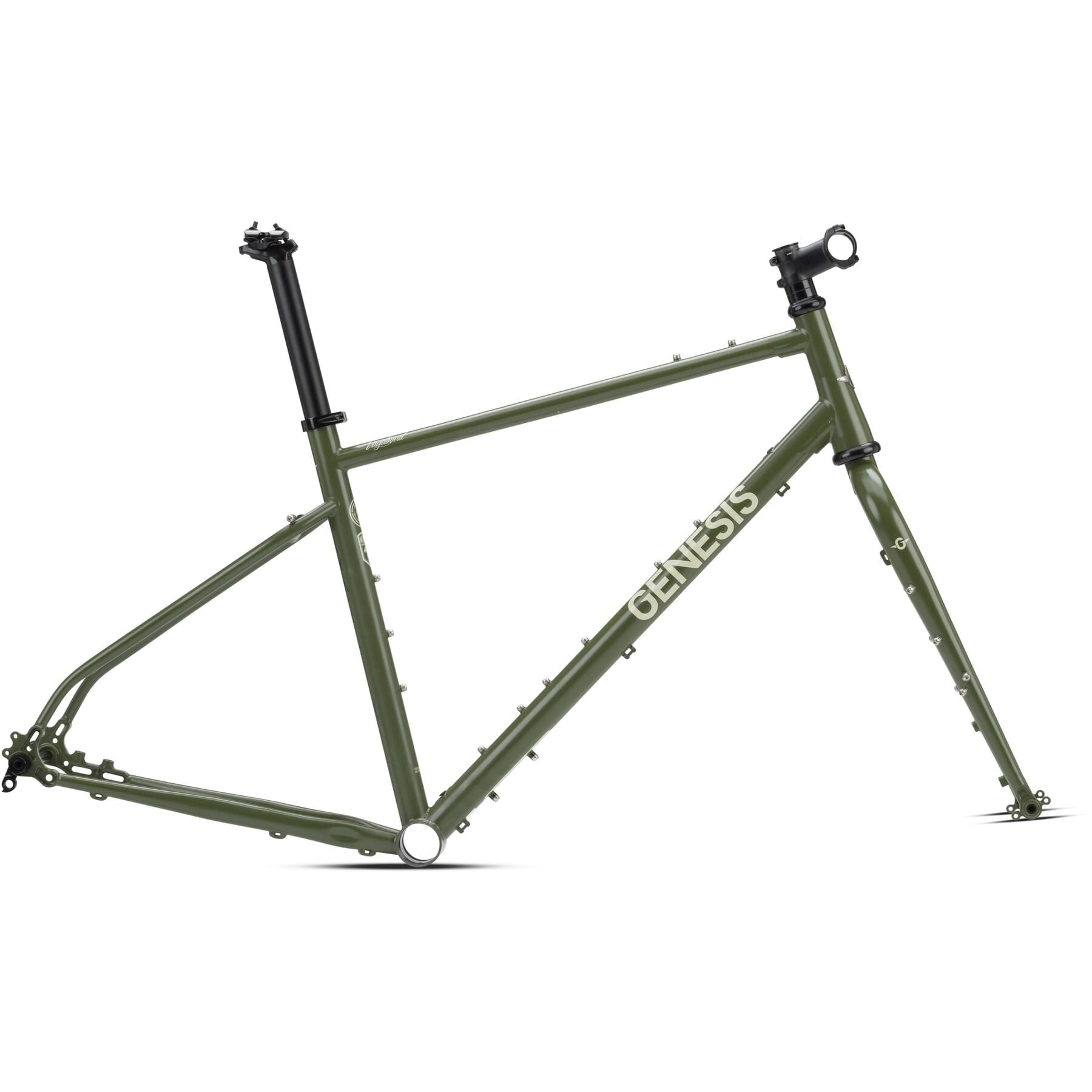 Genesis Vagabond (Avril LaGreen) Frames X-Large