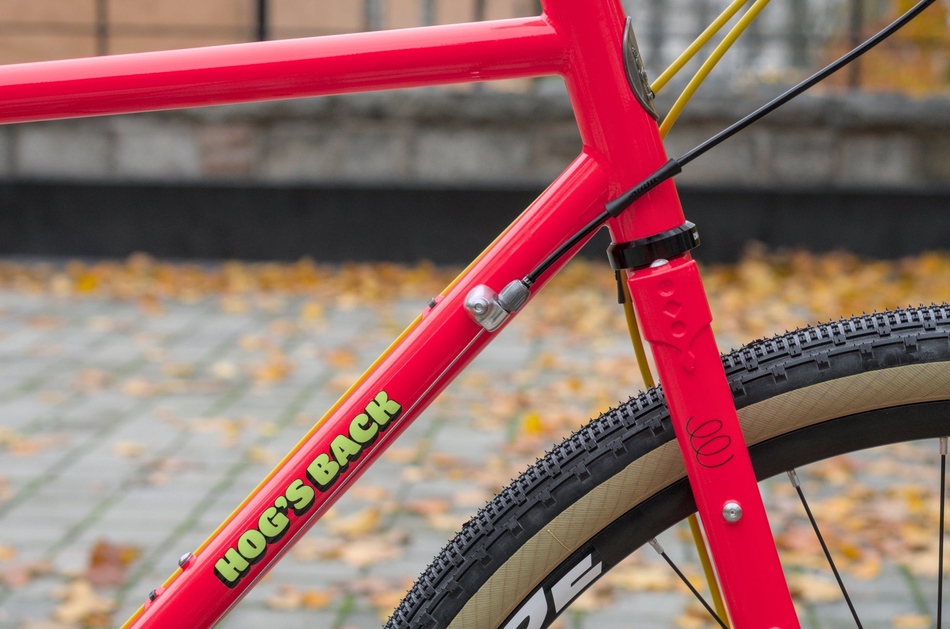 Bassi Hog's Back (L) Custom ATB Cykel