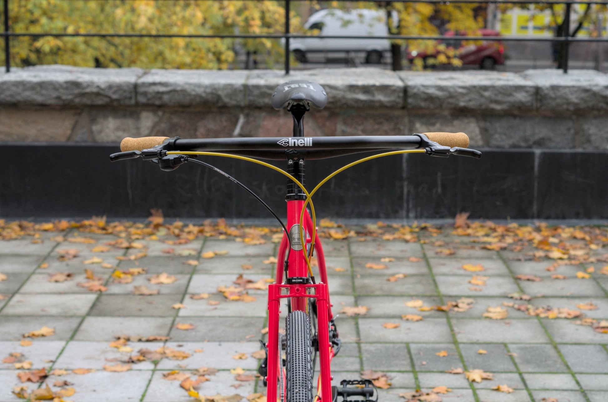 Bassi Hog's Back (L) Custom ATB Cykel