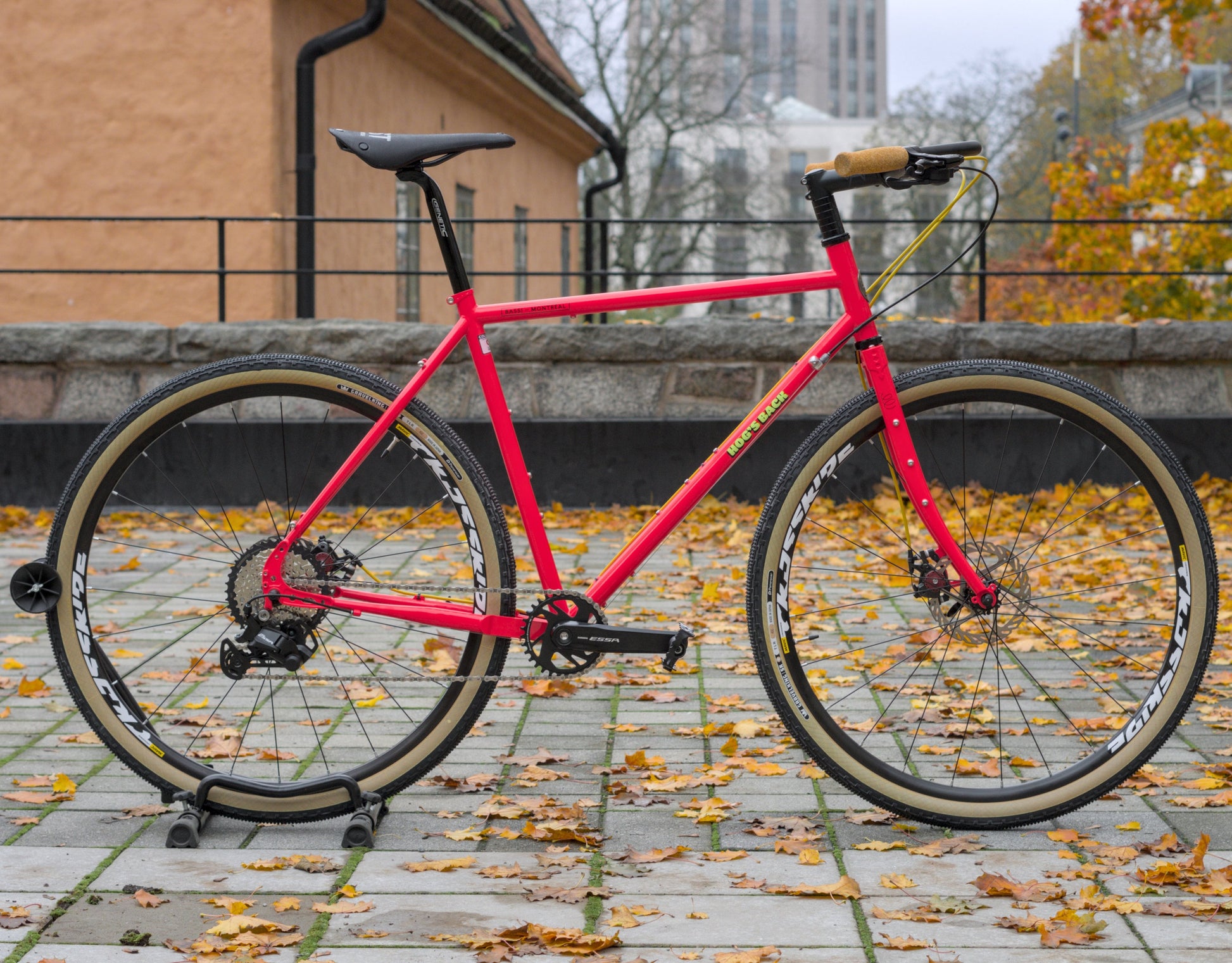 Bassi Hog's Back Ramset Cool Ade