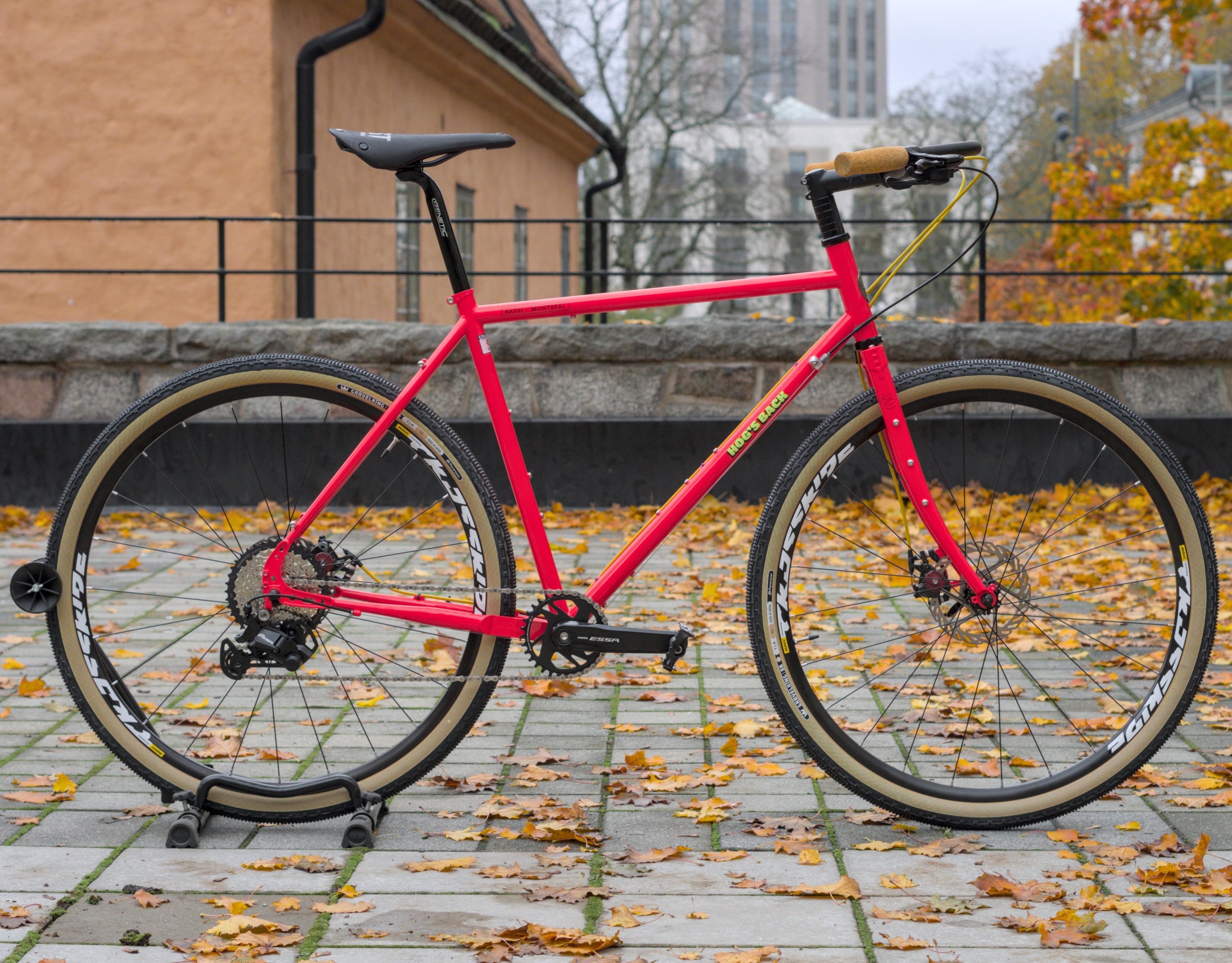 Bassi Hog's Back Ramset Cool Ade