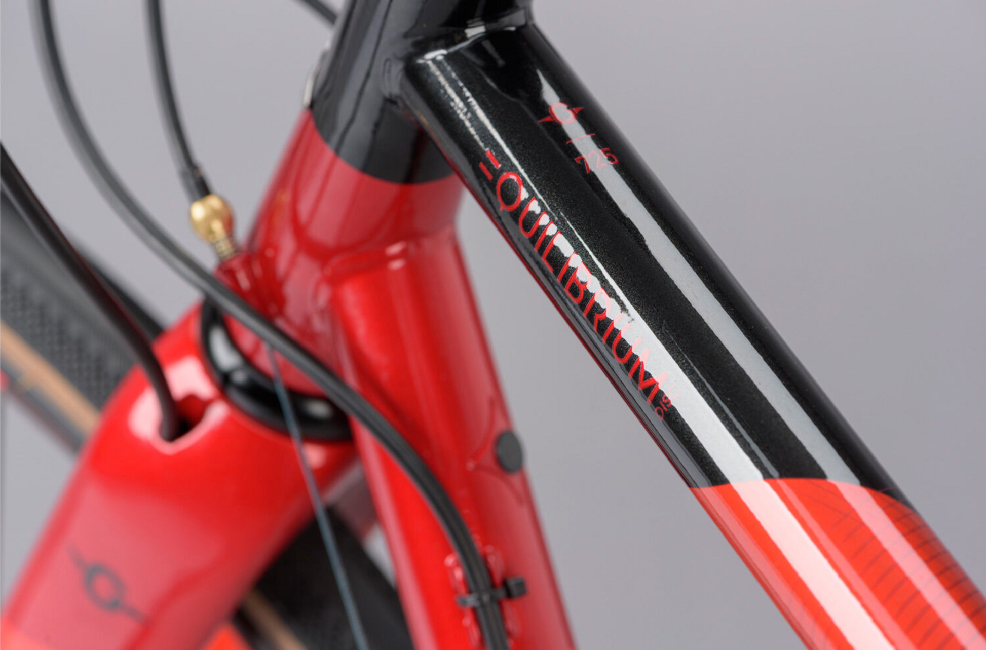 Genesis Equilibrium Disc