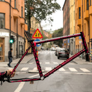 Cinelli Tutto Mini Mike Giant Limited Edition Frameset (Large)